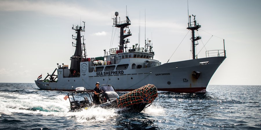 Introducing Sea Shepherd's Newest Old Ship, SSS Sam Simon