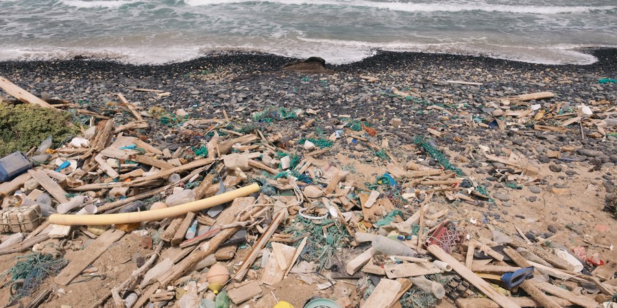 www.seashepherdglobal.org