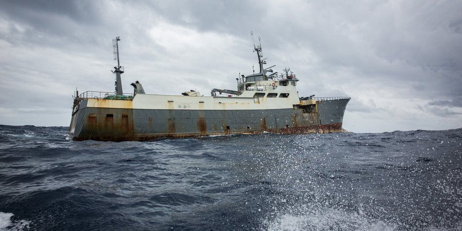 Sea Shepherd on anti-poacher patrol in Tuvalu
