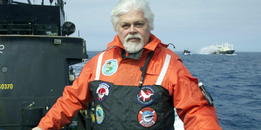 Sea Shepherd Global
