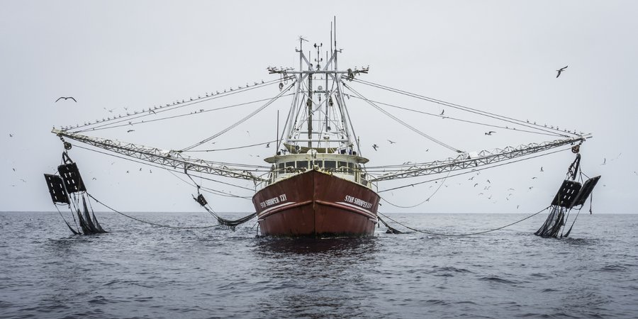 Shrimp trawler on sale