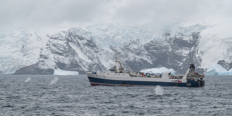 www.seashepherdglobal.org