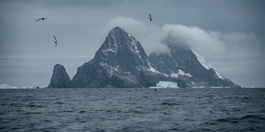 Beijing expected to propose Cosmonauts Sea marine protected area