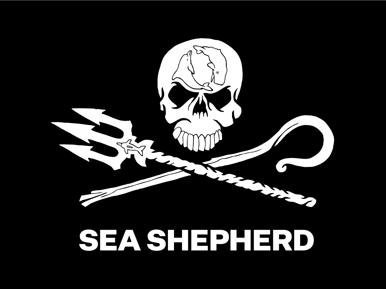 Sea Shepherd: A Movement 